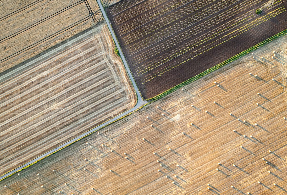 Vista aérea de parcelas agrícolas en un valle