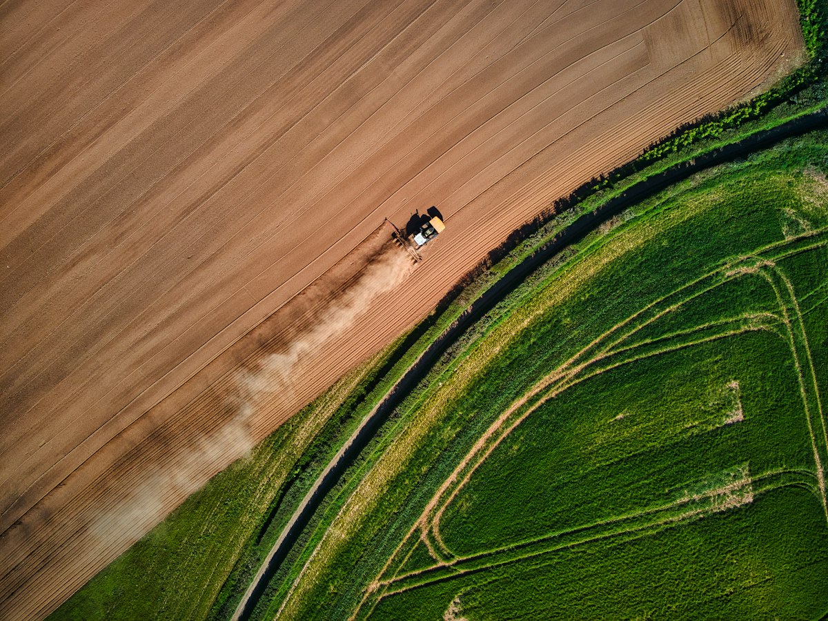 Campo agrícola delimitado visto desde el aire